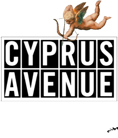 Cabelfast Sticker by Cyprus Avenue