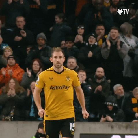 Premier League Yes GIF by Wolves