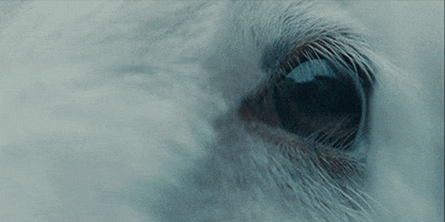 Looking I See You GIF by A24