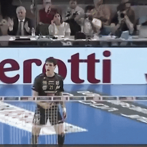 Lube Civitanova Volleyball GIF
