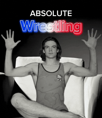 Wrestling Grappling GIF