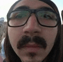 Rakun Kemal Miyiz GIF