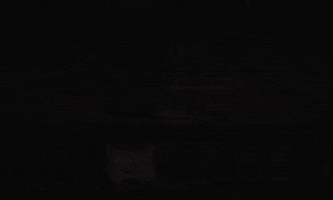 200.gif?cid=fc005b081291b91bb32193f72aceb4bbc8ce36c6d5df3252&rid=200.gif&ct=g