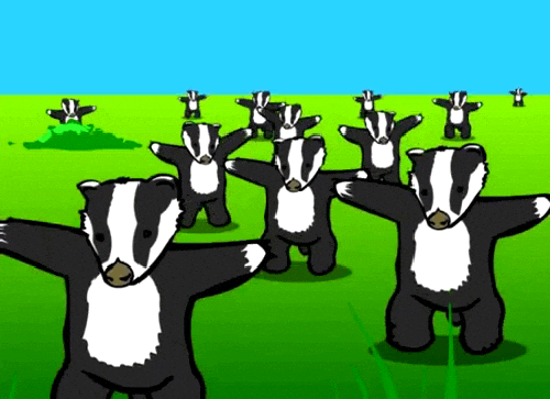 Badger GIF - Find & Share on GIPHY