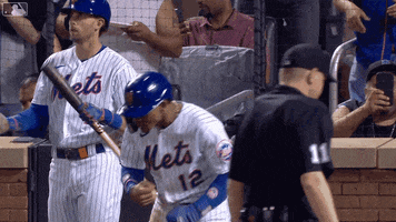 Excited Pumped Up GIF by New York Mets