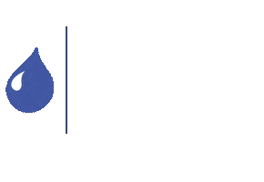 DianFlex Sticker