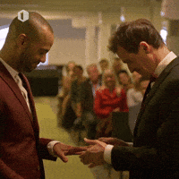 Wedding Alex GIF by vrt