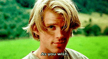 As You Wish Cary Elwes GIF