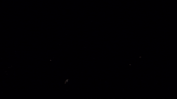 Veracruz Lights On GIF by ABJ Halcones