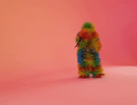 giphy.gif?cid=790b76118c6060edcda62e27d8