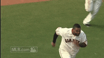 San Francisco Giants Panda GIF by MLB