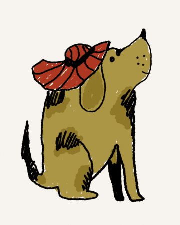 Dog Hat GIF
