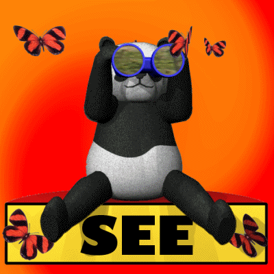 Panda See GIF