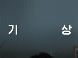 티비엔 GIF by tvN Official