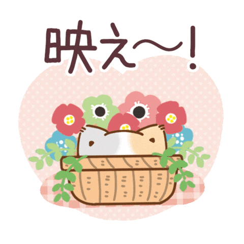 かわいい Sticker