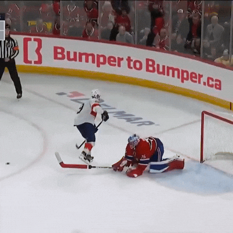 Montreal Canadiens GIF