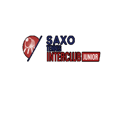 Tennis Interclub Sticker by Tennisenpadelvlaanderen