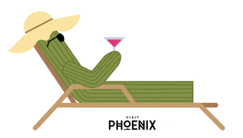 Vacation Cactus GIF by Visit Phoenix