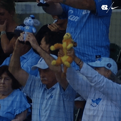 University Of North Carolina Baseball GIF by UNC Tar Heels