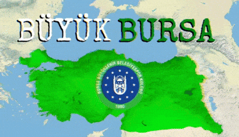 Bursa GIF