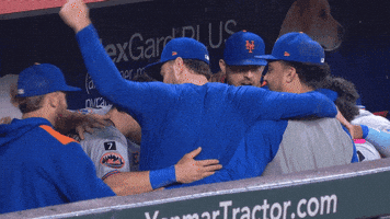 Celebration GIF by New York Mets