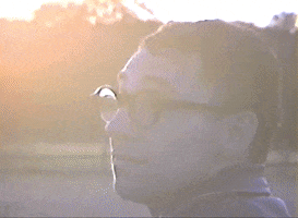 200.gif?cid=fc005b081e601839b16439e0272ce497f76a0ac9f4e1aefa&rid=200.gif&ct=g