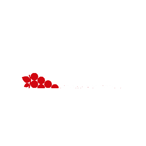 Sommelier Sticker by Somm Grapes