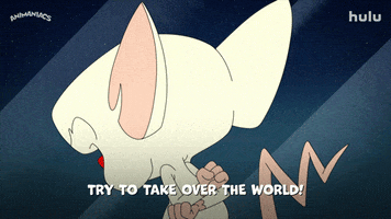 Pinky And The Brain Animation GIF by HULU