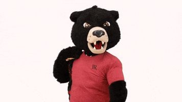 College Mascot GIF by Lenoir-Rhyne University