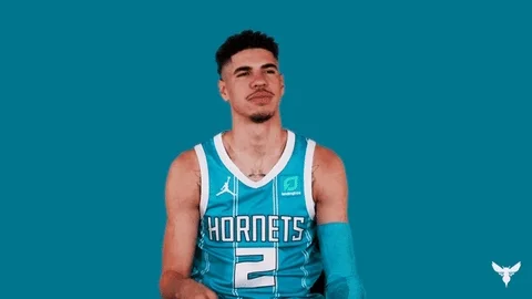 Think Lamelo Ball GIF