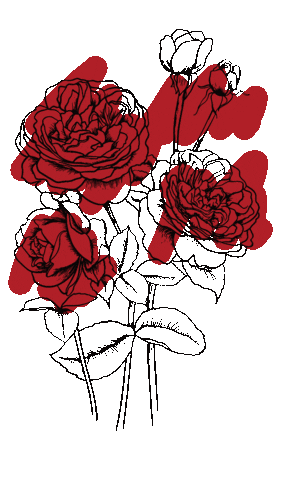 connivestudio Sticker