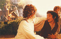 Lord Of The Rings Hug GIF - Find & Share on GIPHY