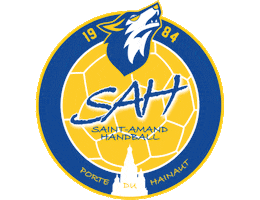 SaintAmandHandball Sticker