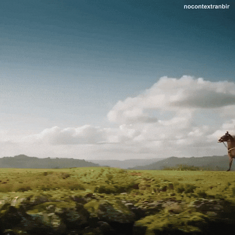 Ranbir Kapoor Ram GIF