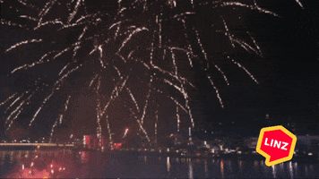 Party Wow GIF by Linz News