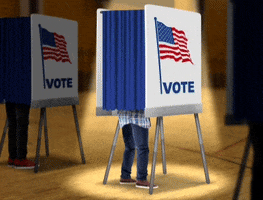 Voting American GIF by MultiversX