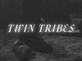 Twin Tribes GIFs on GIPHY - Be Animated