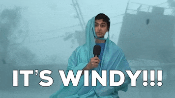 Its Windy GIF