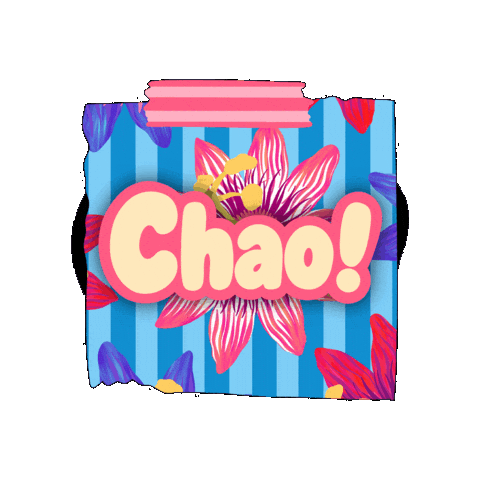Chao Sticker