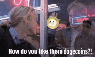 Doge GIF