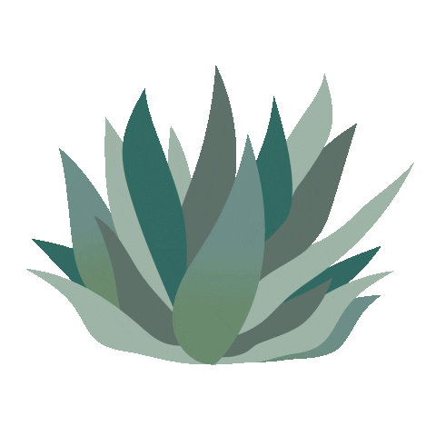 Plant Agave Sticker by KitchenAid