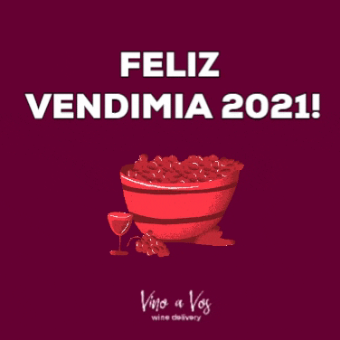 Vino a Vos GIF