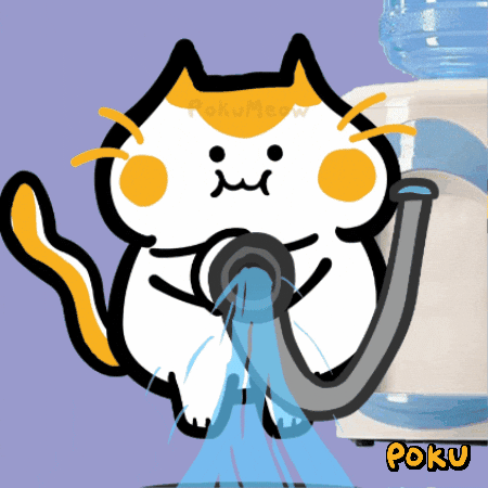 Cat Water GIF by Poku Meow
