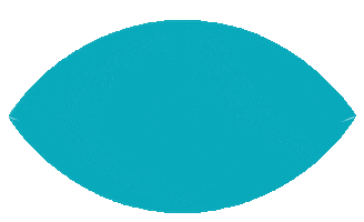 EVO Visian ICL Sticker