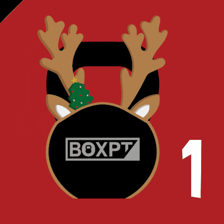 BOXPT GIF
