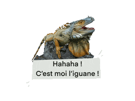 French Laugh Sticker by Teachizi