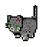 Cat Sticker