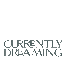 Dream Currently Reading Sticker by BookSparks