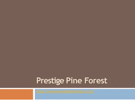 Prestige Pine Forest GIF