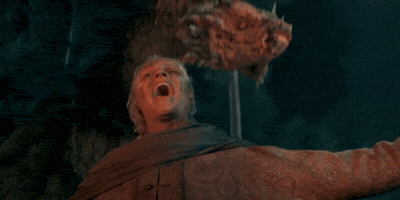 Laugh Laughing GIF